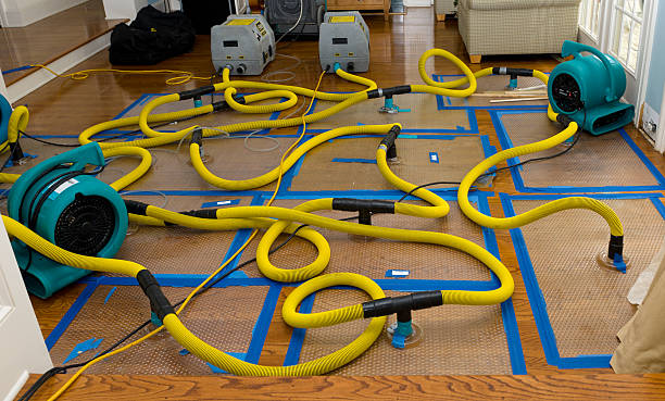 Professional Water Damage Repair technician working in Lovettsville, VA